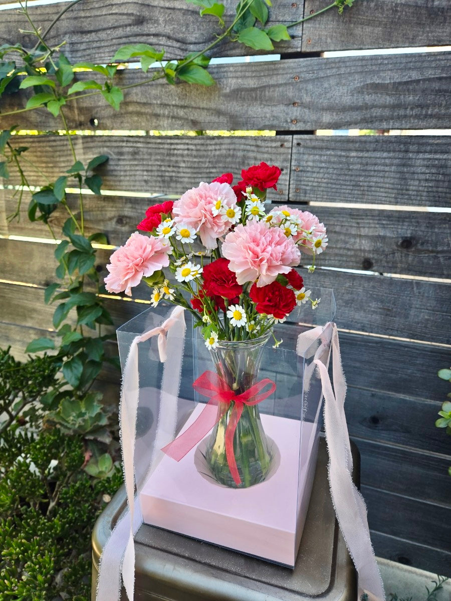 Carnation vase in a hanging clear gift bag